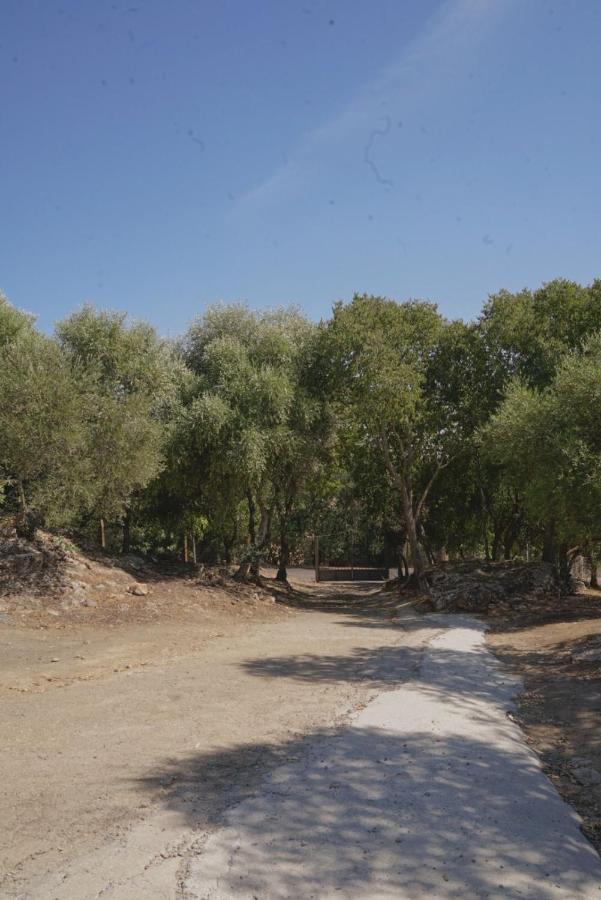 Villa Pepucho 3 Almodóvar del Río Εξωτερικό φωτογραφία